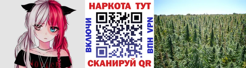 Наркота Плавск Cocaine  ГАШИШ  Альфа ПВП  NBOMe  МАРИХУАНА  Метадон 