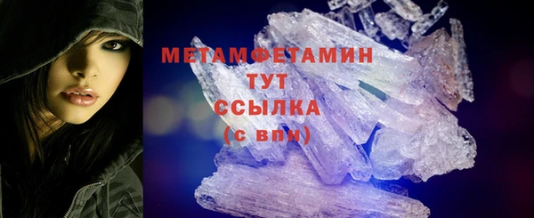 ПСИЛОЦИБИНОВЫЕ ГРИБЫ Вяземский