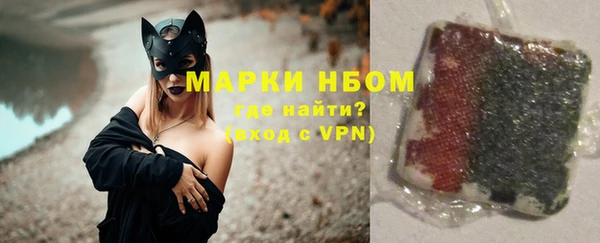 ПСИЛОЦИБИНОВЫЕ ГРИБЫ Вяземский