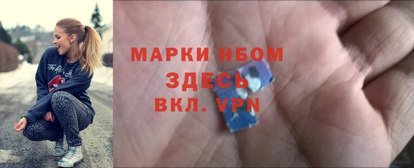 индика Вязники