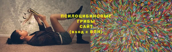 ПСИЛОЦИБИНОВЫЕ ГРИБЫ Вяземский