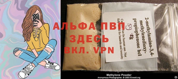 стаф Сатка