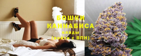 индика Вязники