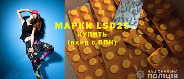 ПСИЛОЦИБИНОВЫЕ ГРИБЫ Вяземский