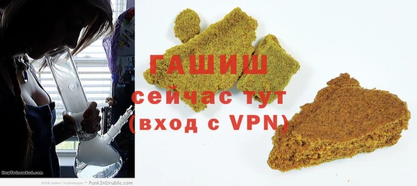 индика Вязники