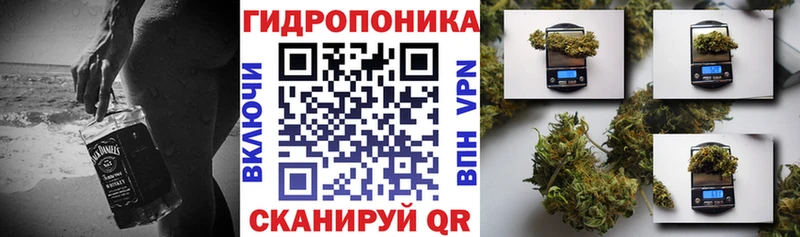 закладки  дарк нет состав  МАРИХУАНА White Widow  Плавск 